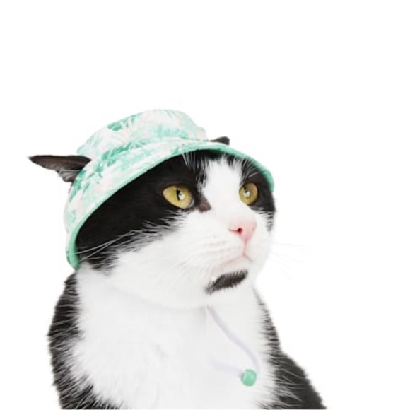 cat hat - Picture 3 of 8